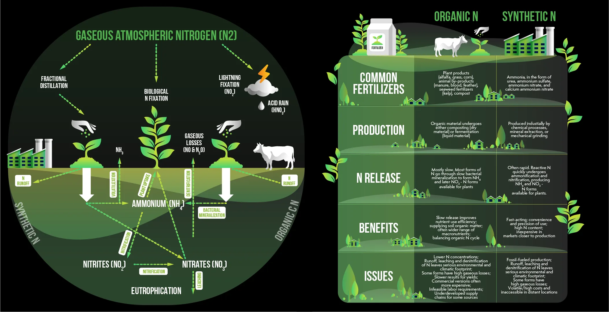 Green Nitrogen Fixation